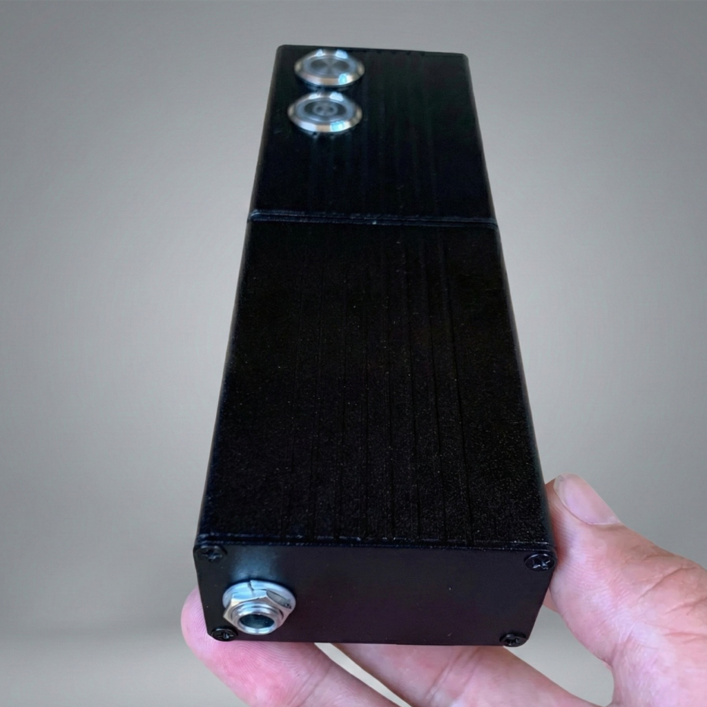 Mini Insect Laser Gun 40W